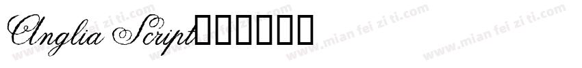 Anglia Script字体转换